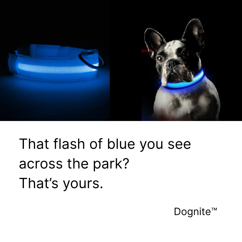 Dognite™ - For All Dog Parents