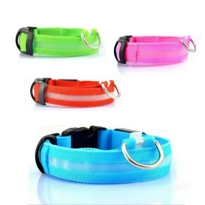 Dognite™ - For All Dog Parents
